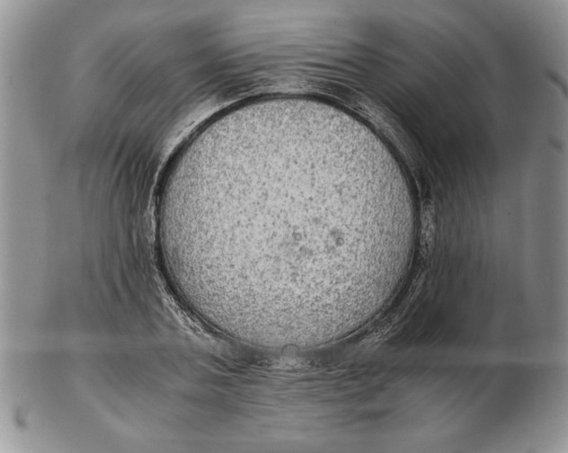 X0000102380787200808221801