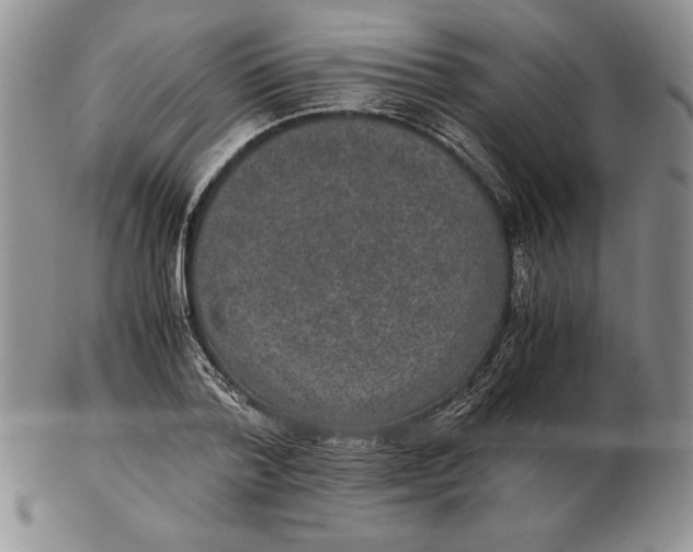 X0000102380788200808221801