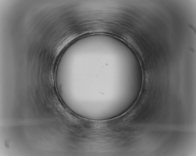 X0000102380789200808221801