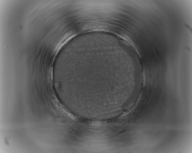 X0000102380790200808221801