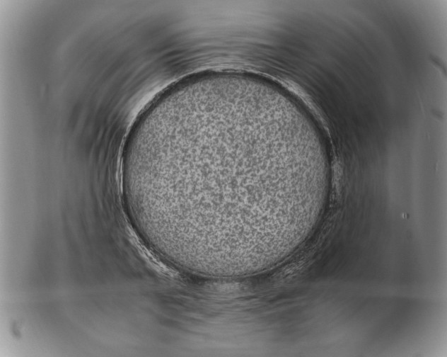 X0000102380791200808221801