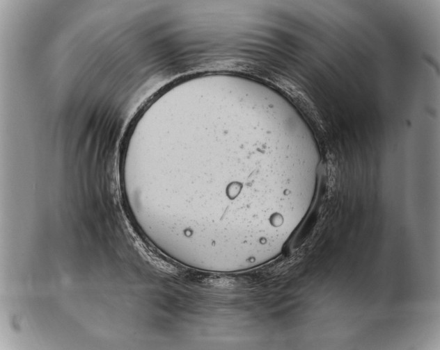 X0000102380792200808221801