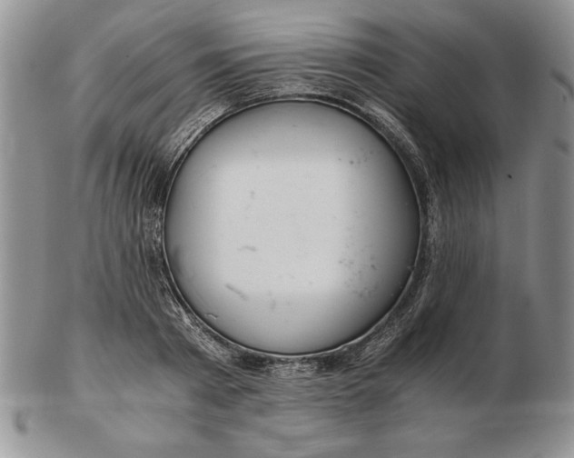 X0000102380793200808221801