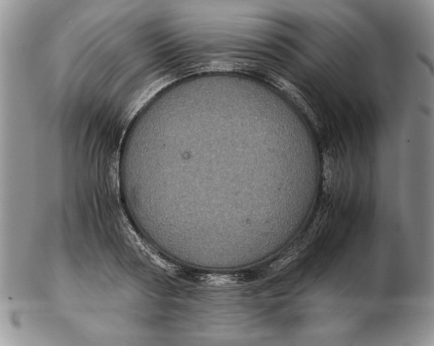 X0000102380794200808221801