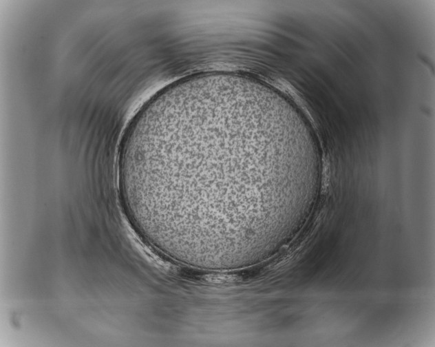 X0000102380795200808221801