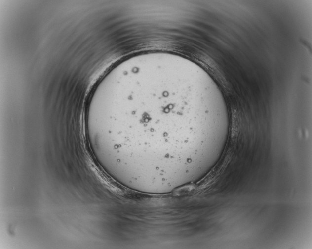 X0000102380796200808221801