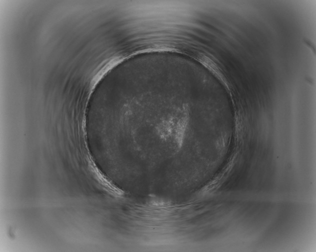 X0000102380797200808221801