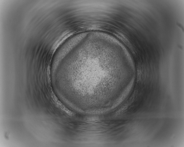 X0000102380798200808221801