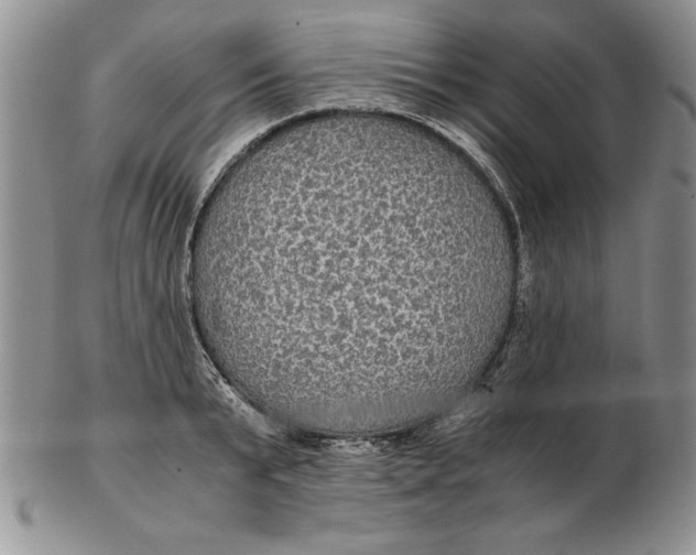 X0000102380799200808221801