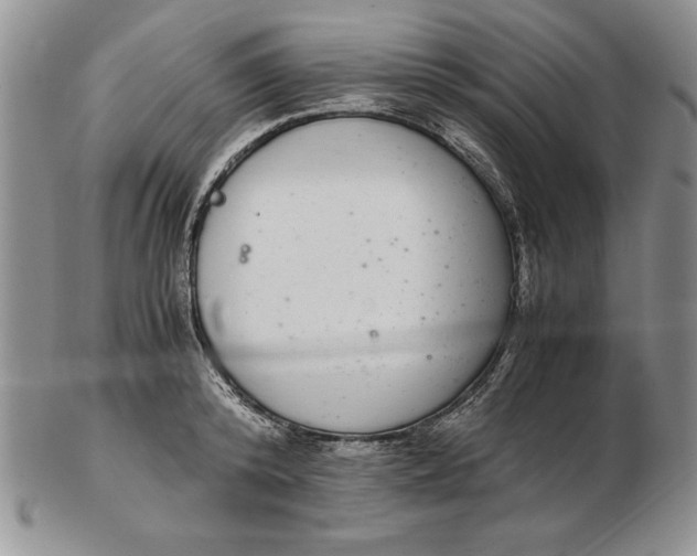 X0000102380800200808221801