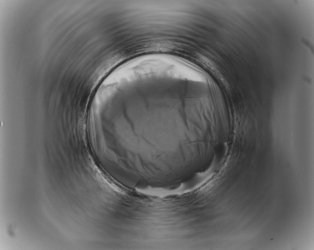 X0000102380802200808221801