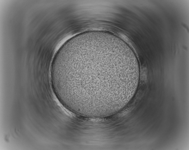 X0000102380803200808221801