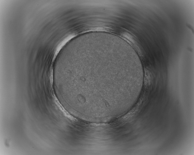 X0000102380804200808221801