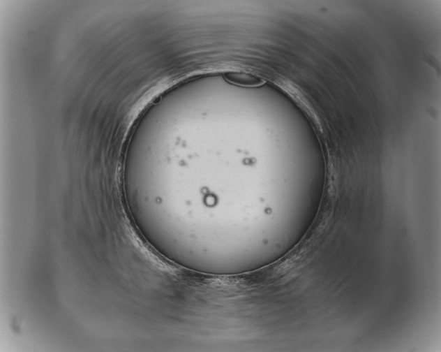 X0000102380805200808221801