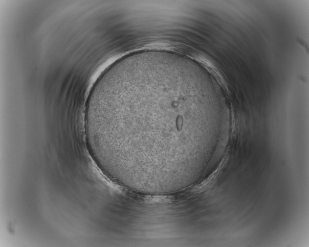 X0000102380808200808221801