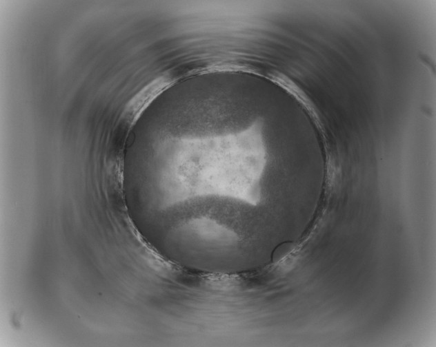 X0000102380809200808221801