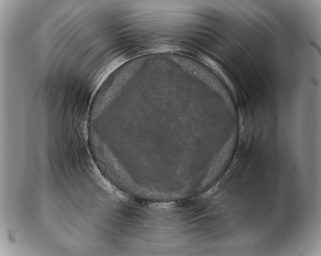 X0000102380810200808221801