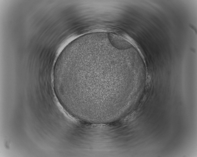 X0000102380811200808221801