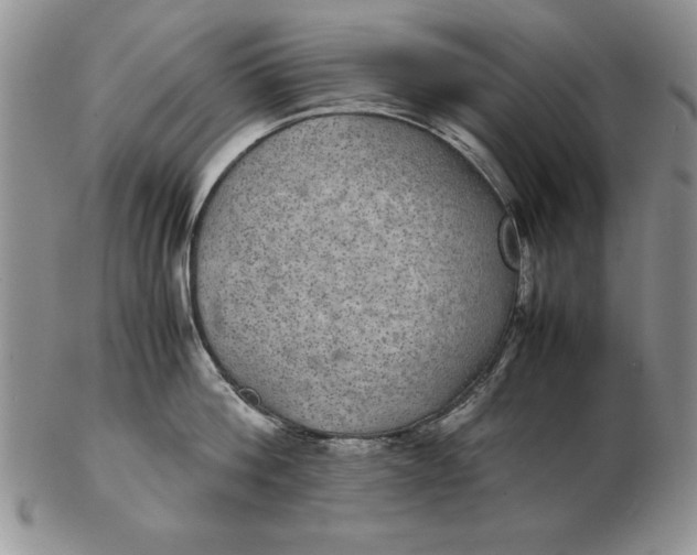 X0000102380812200808221801