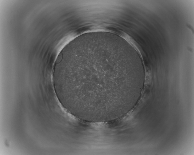 X0000102380813200808221800