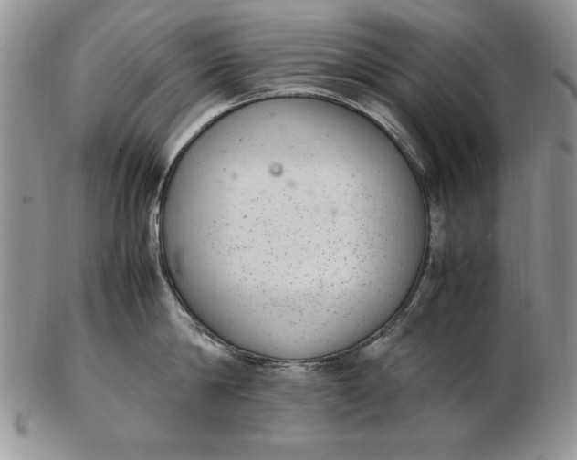 X0000102380814200808221800