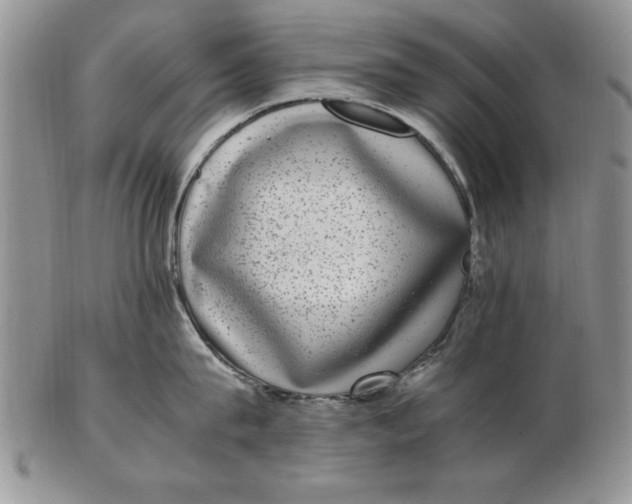 X0000102380815200808221800