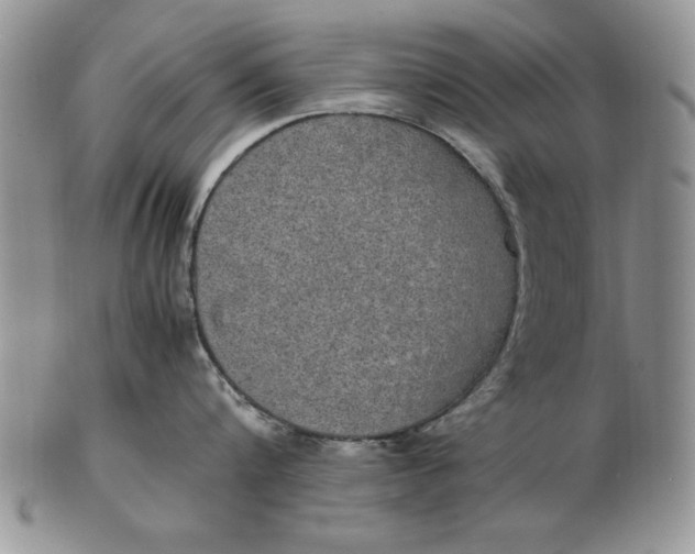 X0000102380816200808221800