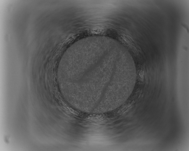 X0000102380817200808221800