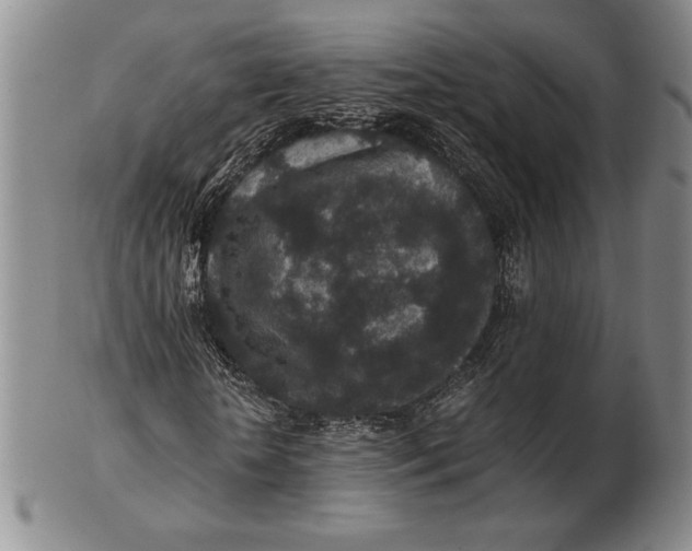 X0000102380818200808221800