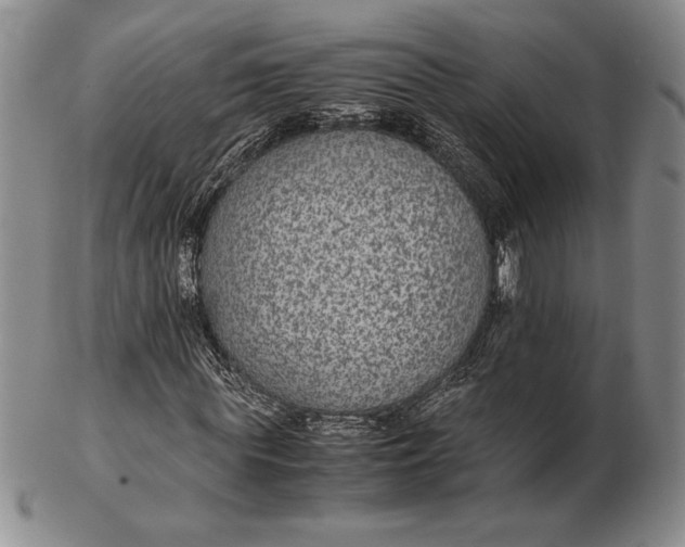 X0000102380819200808221800