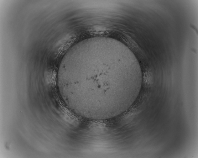 X0000102380820200808221800