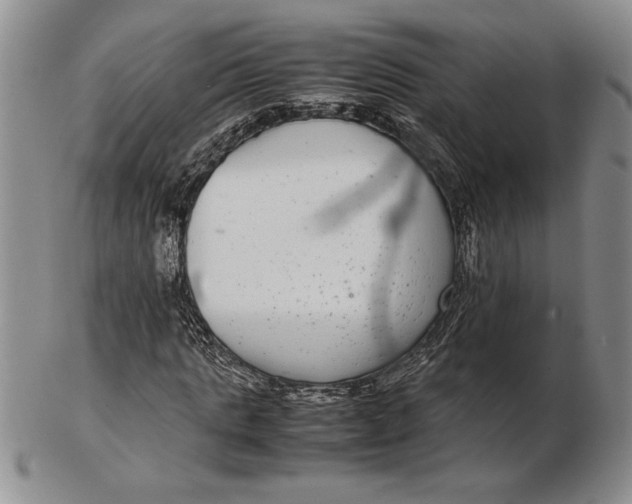 X0000102380821200808221800