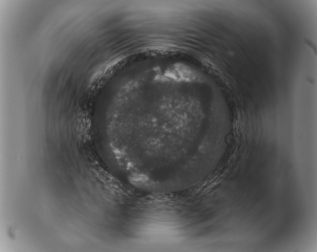 X0000102380822200808221800