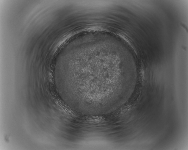 X0000102380823200808221800