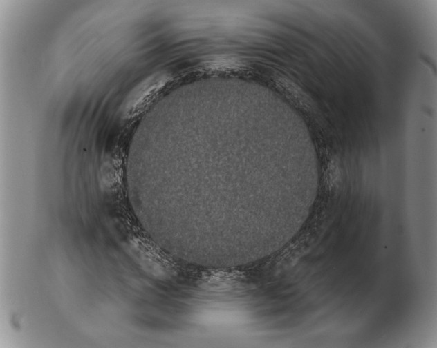 X0000102380824200808221800