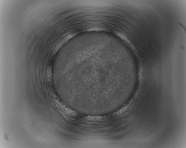 X0000102380825200808221800