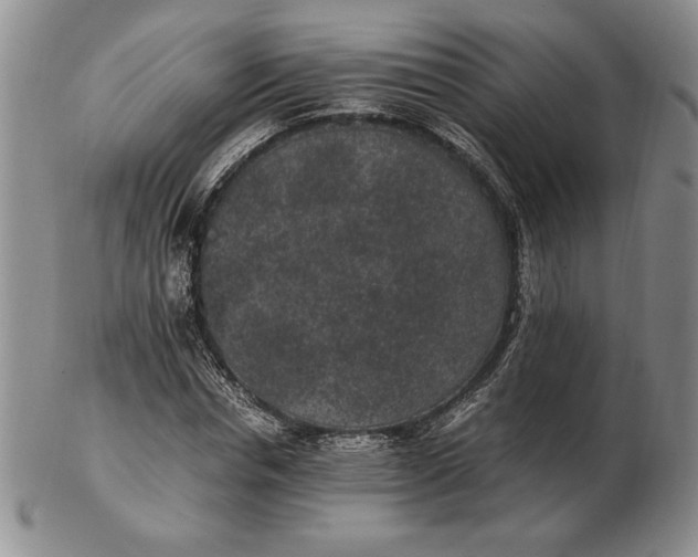 X0000102380826200808221800