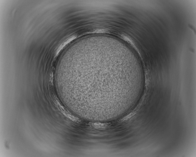 X0000102380827200808221800