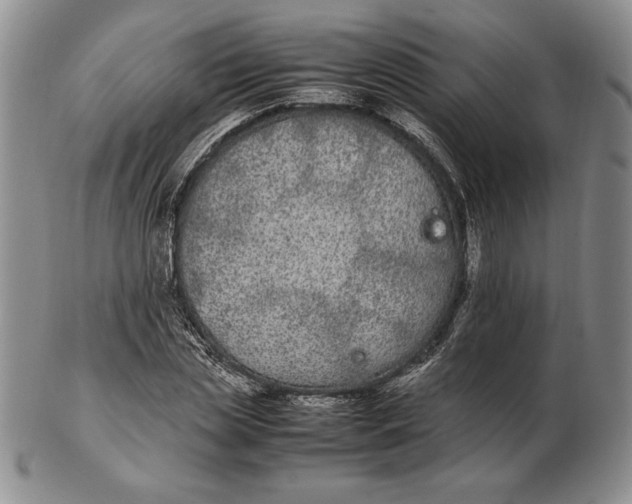 X0000102380829200808221800