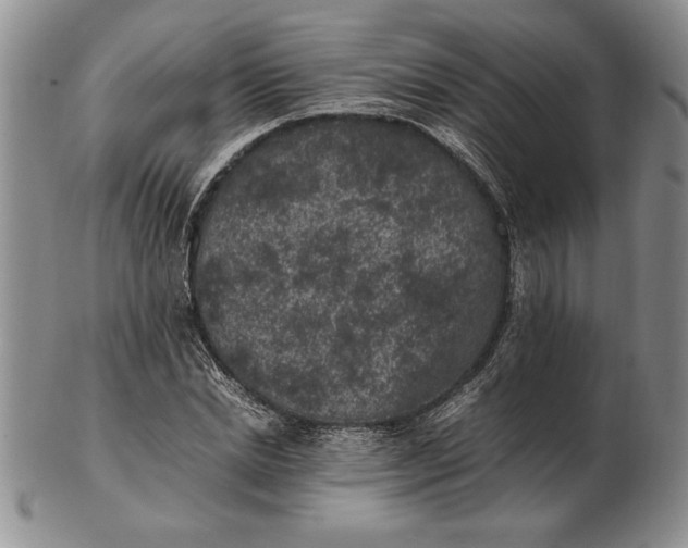 X0000102380830200808221800