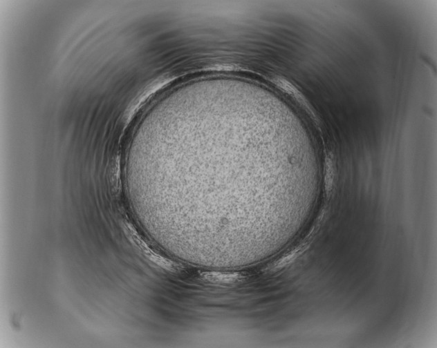 X0000102380831200808221800