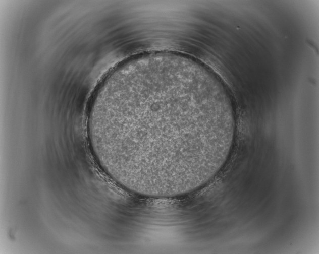 X0000102380832200808221800