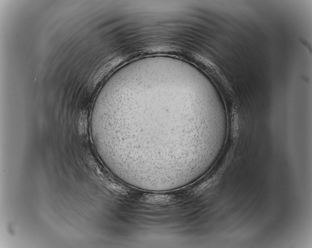 X0000102380833200808221800