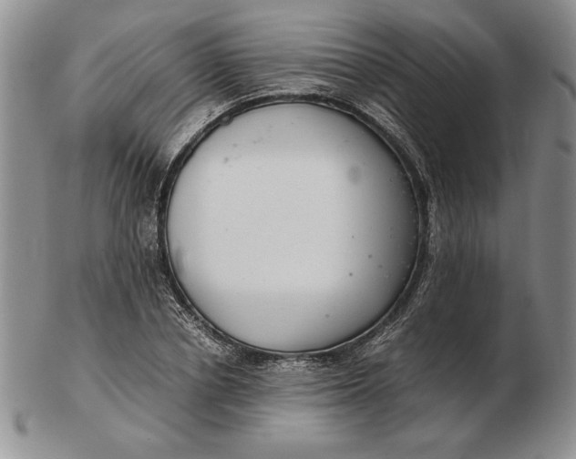 X0000102380834200808221800