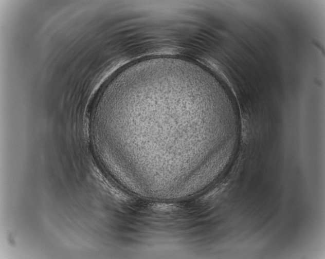 X0000102380835200808221800