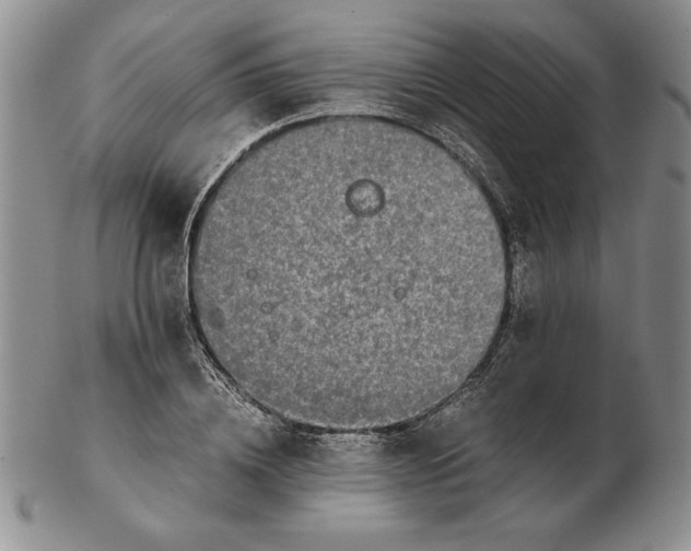 X0000102380836200808221800