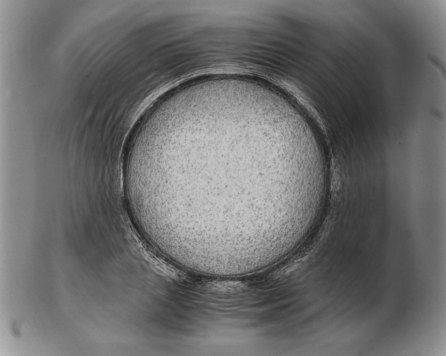 X0000102380837200808221800