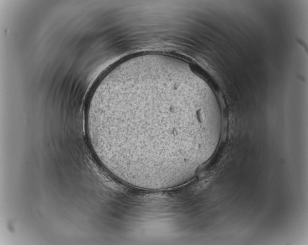 X0000102380838200808221800