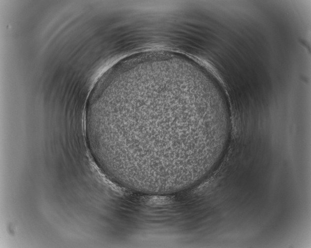 X0000102380839200808221800