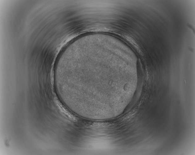 X0000102380840200808221800